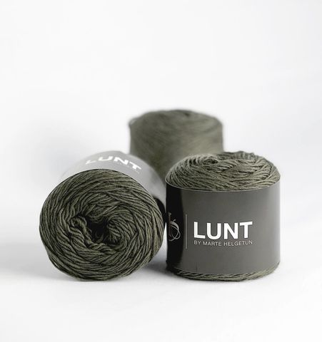 Hovedbilde 18 Einer - Marte Helgetun, Lunt